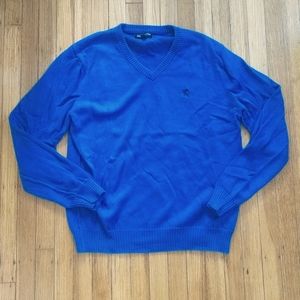 Express Blue V-Neck Sweater